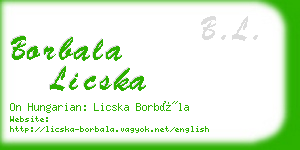 borbala licska business card